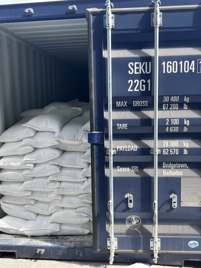 Container loaded with bagged cargo for dispatch
